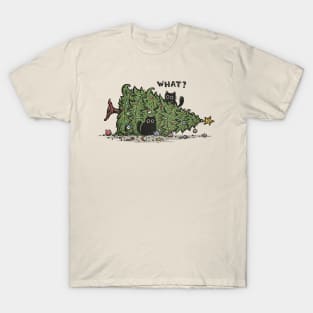 What? T-Shirt